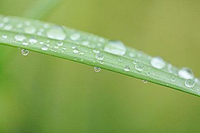 《耀斑纪元》Steam多半好评 还需打磨